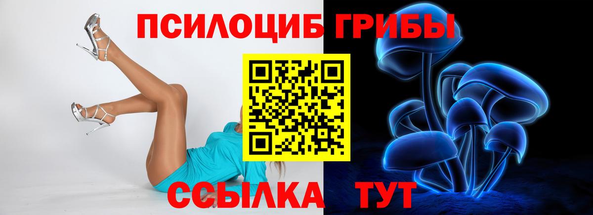 Псилоцибиновые грибы мицелий Юрга